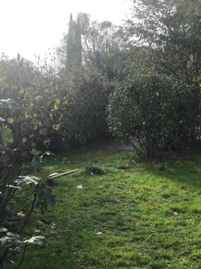 Ravissant Appartement Dans Cadre Verdoyant Marchampt Eksteriør billede